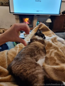 Took these selfies just now from my netflix and chill with my cat love part 1