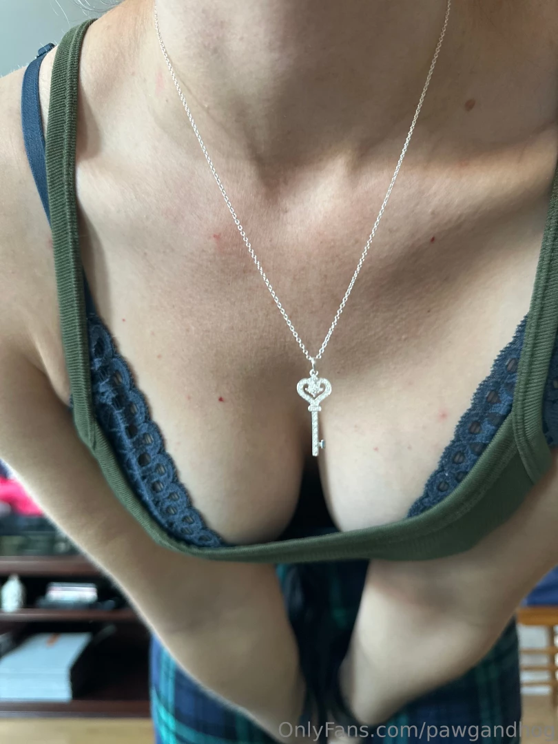 What do you think of my new necklace it was a christmas present what 