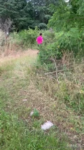 D cid ment c est pas bon de faire son jogging dans des coins perdus