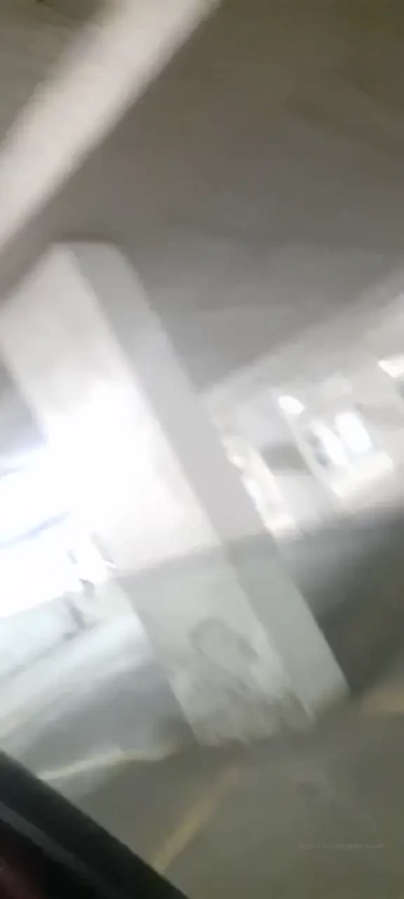 The shit we do 