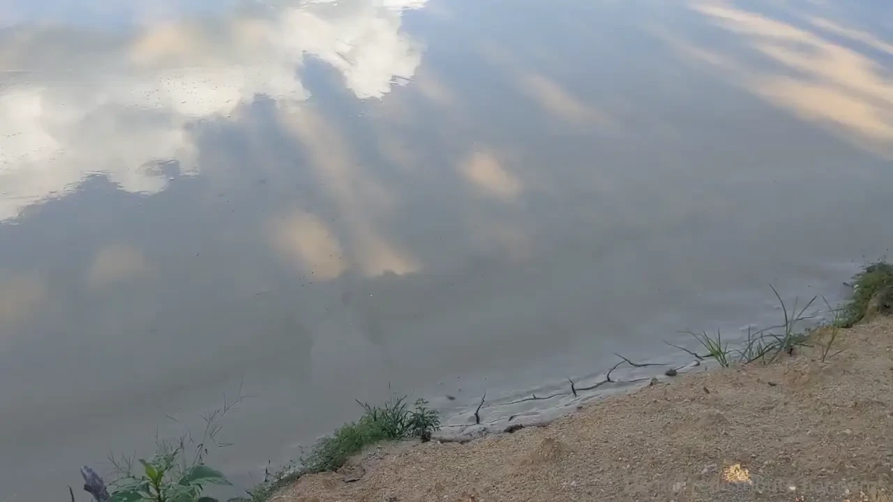 What would you do to me in this mud 