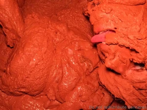 Licking a cum shot off the red clay at night i always clean up my