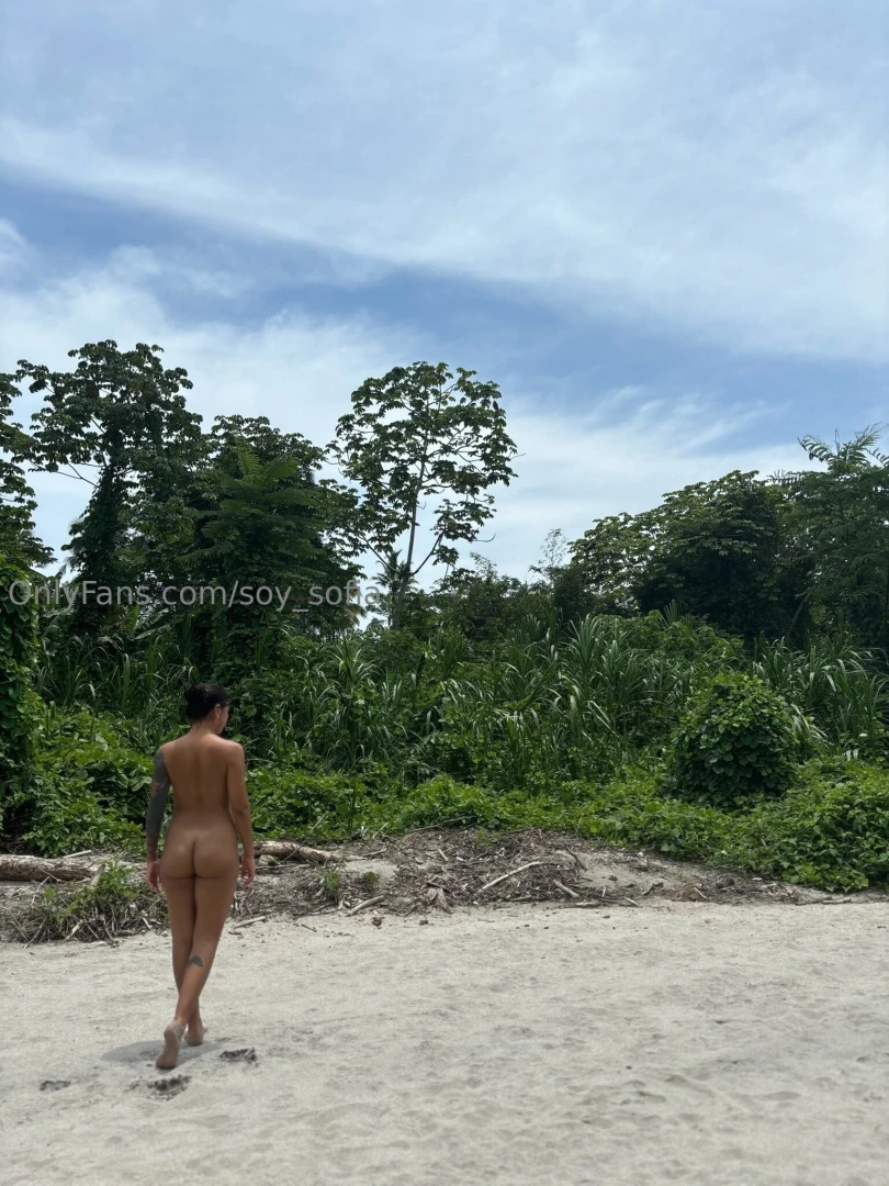 Como vinimos al mundo 