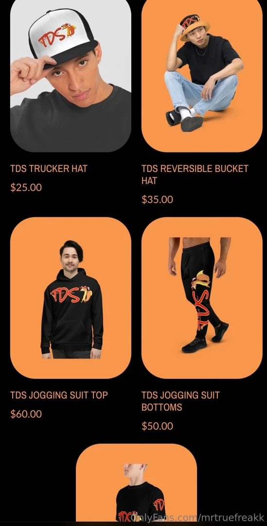 Https tds-shop fourthwall com part 2 