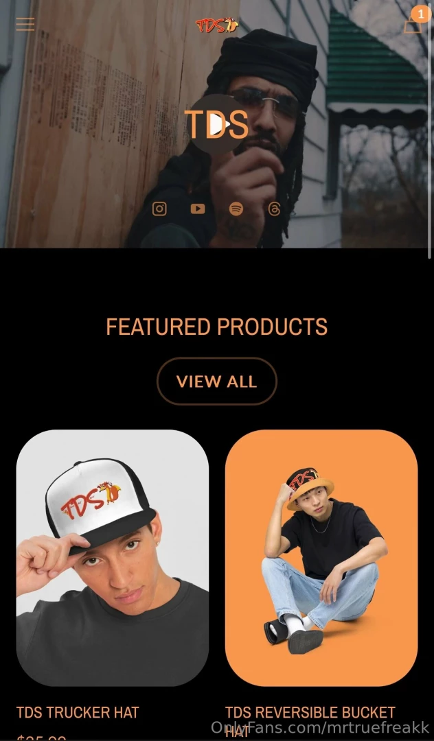 Https tds-shop fourthwall com part 3 