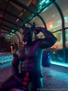 Got geared up and went full rubber dog in the pool this evening part 6