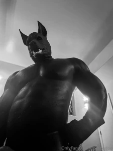 Got geared up and went full rubber dog in the pool this evening part 5