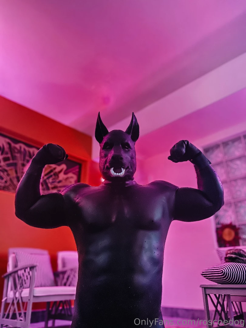 Got geared up and went full rubber dog in the pool this evening part 1 
