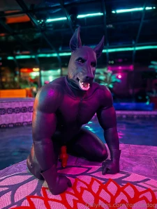Got geared up and went full rubber dog in the pool this evening part 4