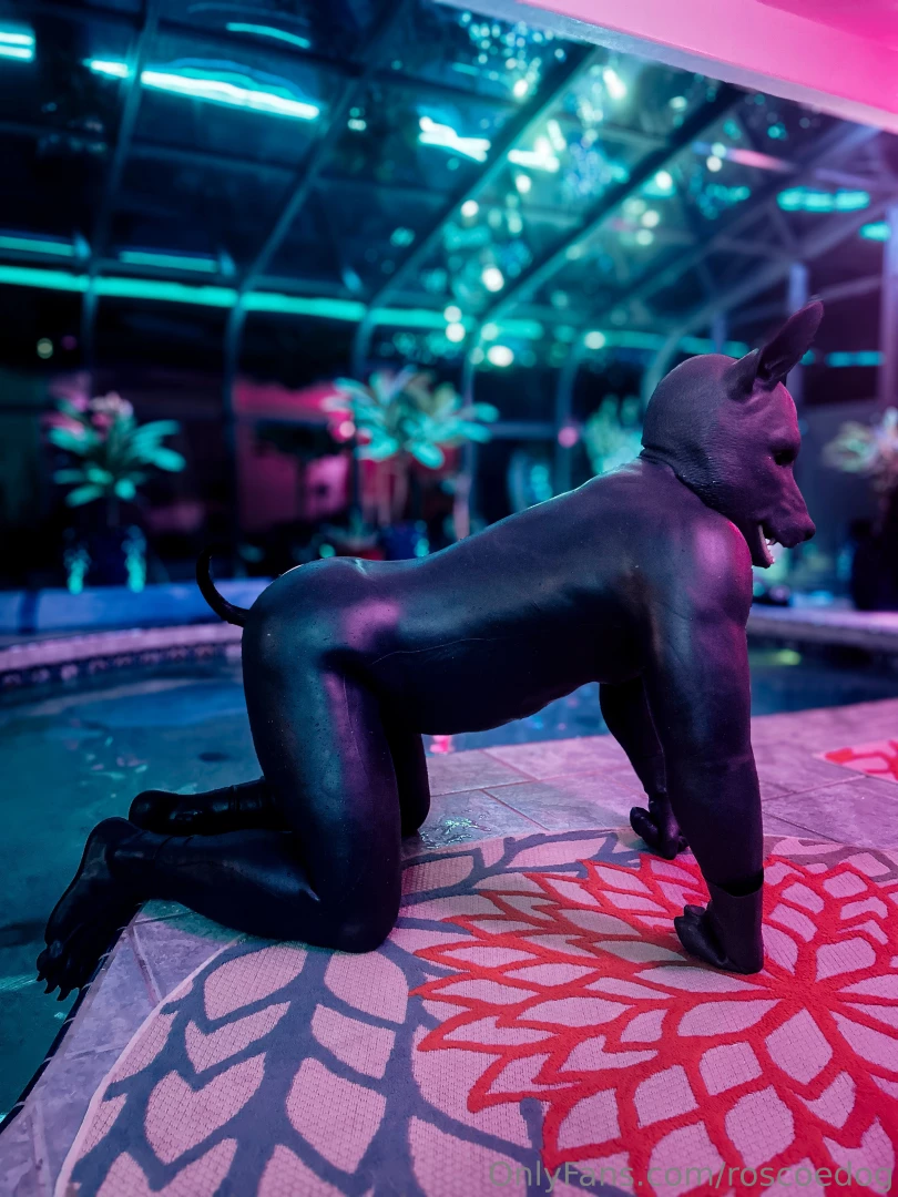 Got geared up and went full rubber dog in the pool this evening part 2 