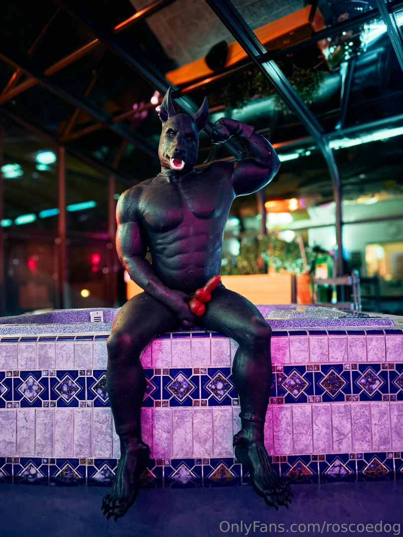 Got geared up and went full rubber dog in the pool this evening part 3 