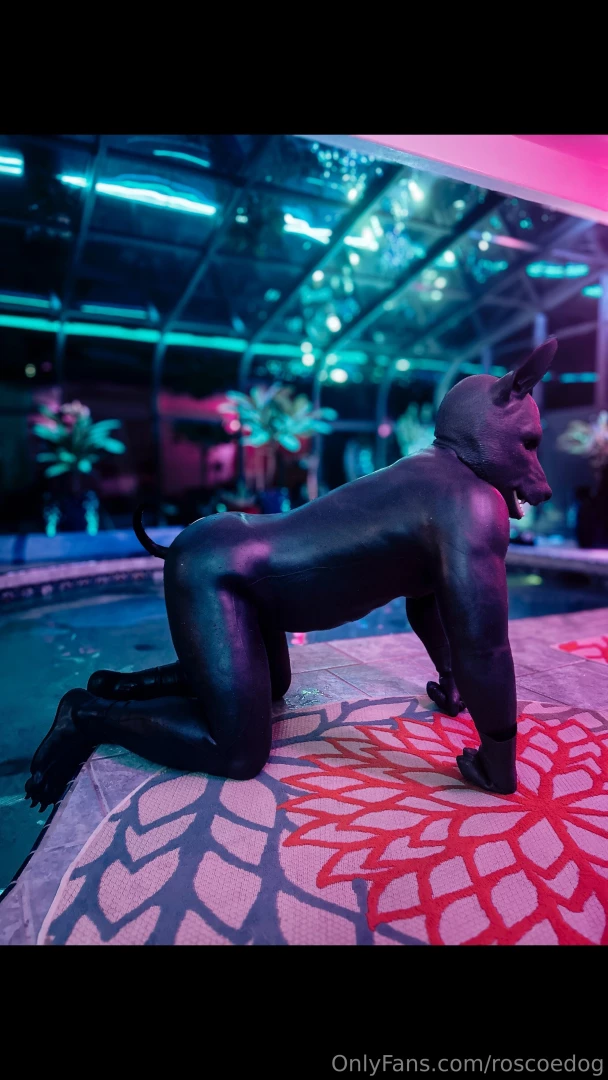 Got geared up and went full rubber dog in the pool this evening 