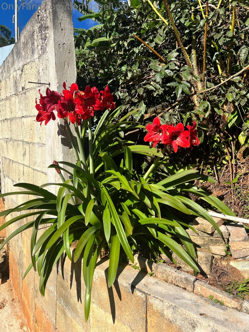 Pfuckingr i love it hereeeee no me quiero ir mi isla bella this island part 8 