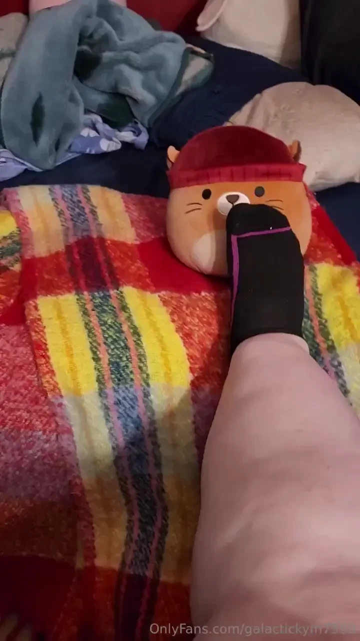 After work sometimes you just gotta expose your toes to your stuffies 
