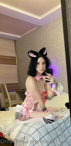 Would you take in such a cute cat i am very obedient and very faithful