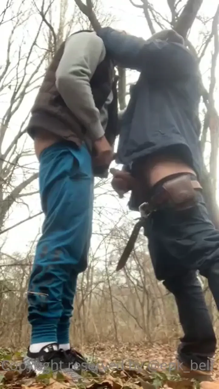 In the woods part 12 