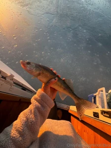 Good morning part 38403