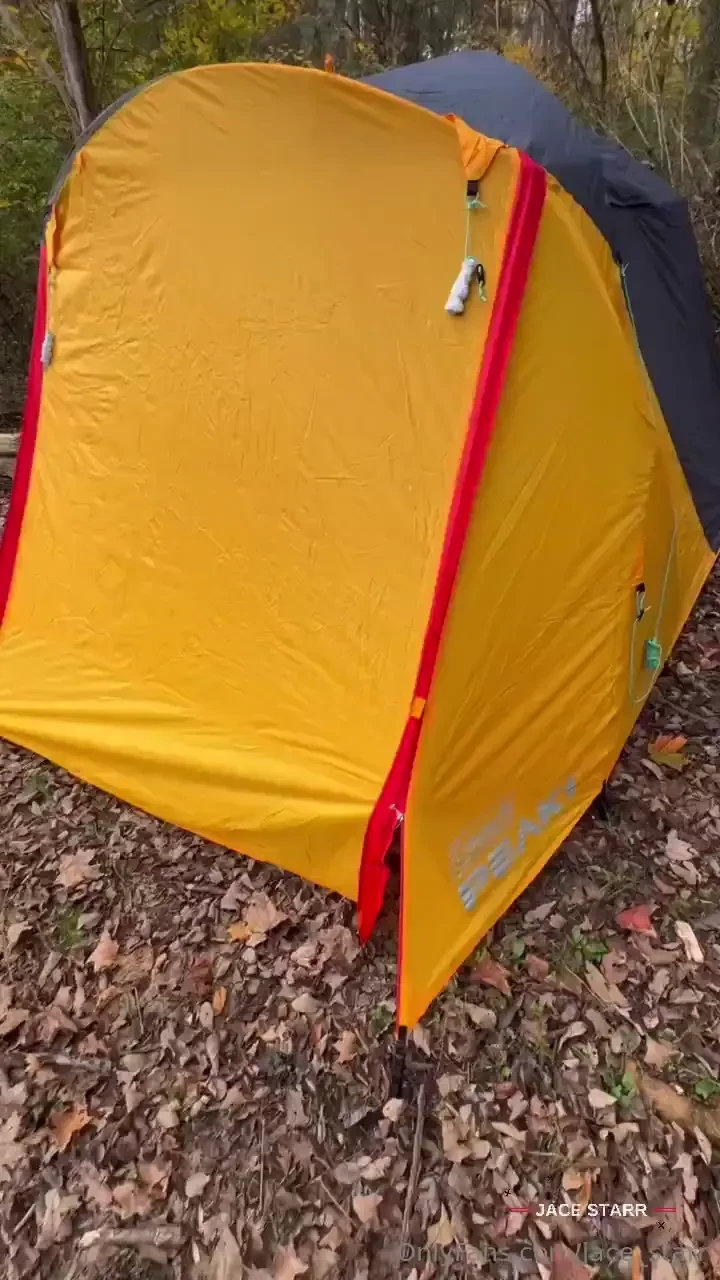 Oh hi this wild himbo got busted and bred in his natural habitat full 