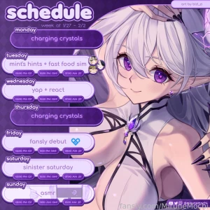Schedule for this week doing my first ever fansly stream this friday i