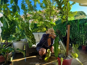 I gave my newest plant philphil nickname for philodendron paraiso