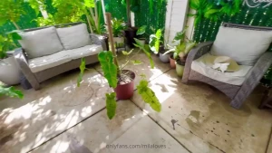Garden vlog my plants a gentle update on the growth of my garden