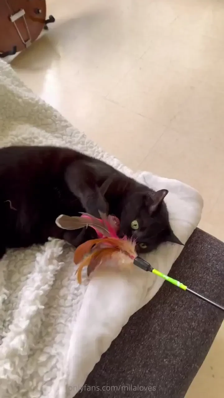 Mwuhahaha at 44 seconds in his turbo booster zoomies activated he was 