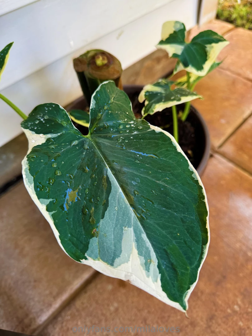 I am very thankful my softer and sensual moments are still up woot part 1 