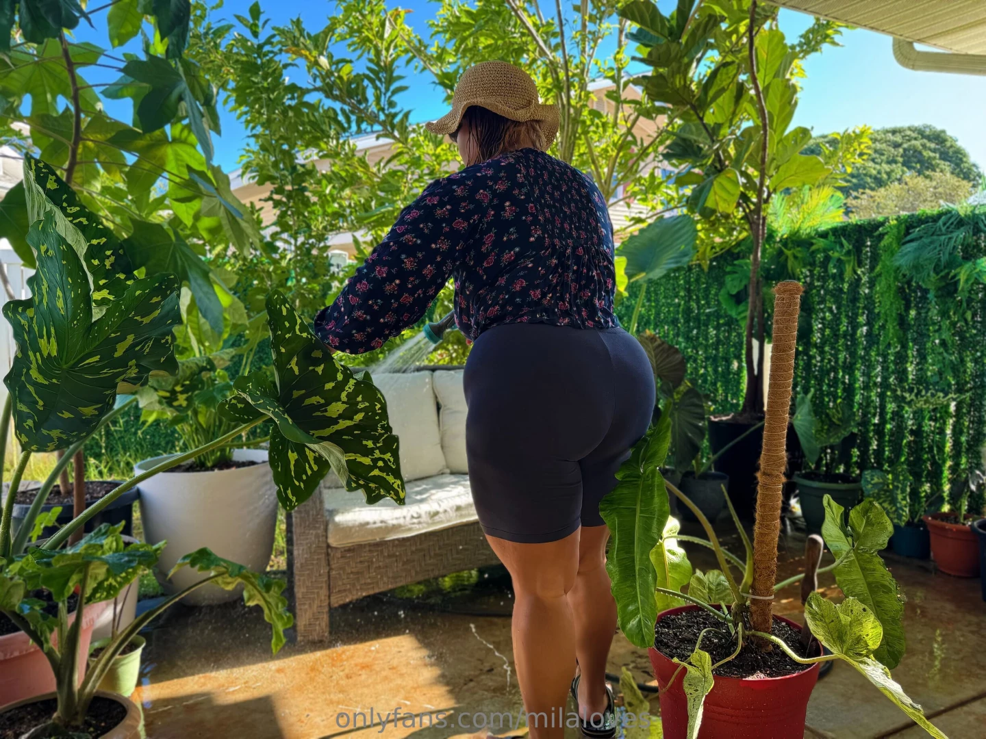 Gentle reminder remember to water your plants if you have recently part 3 