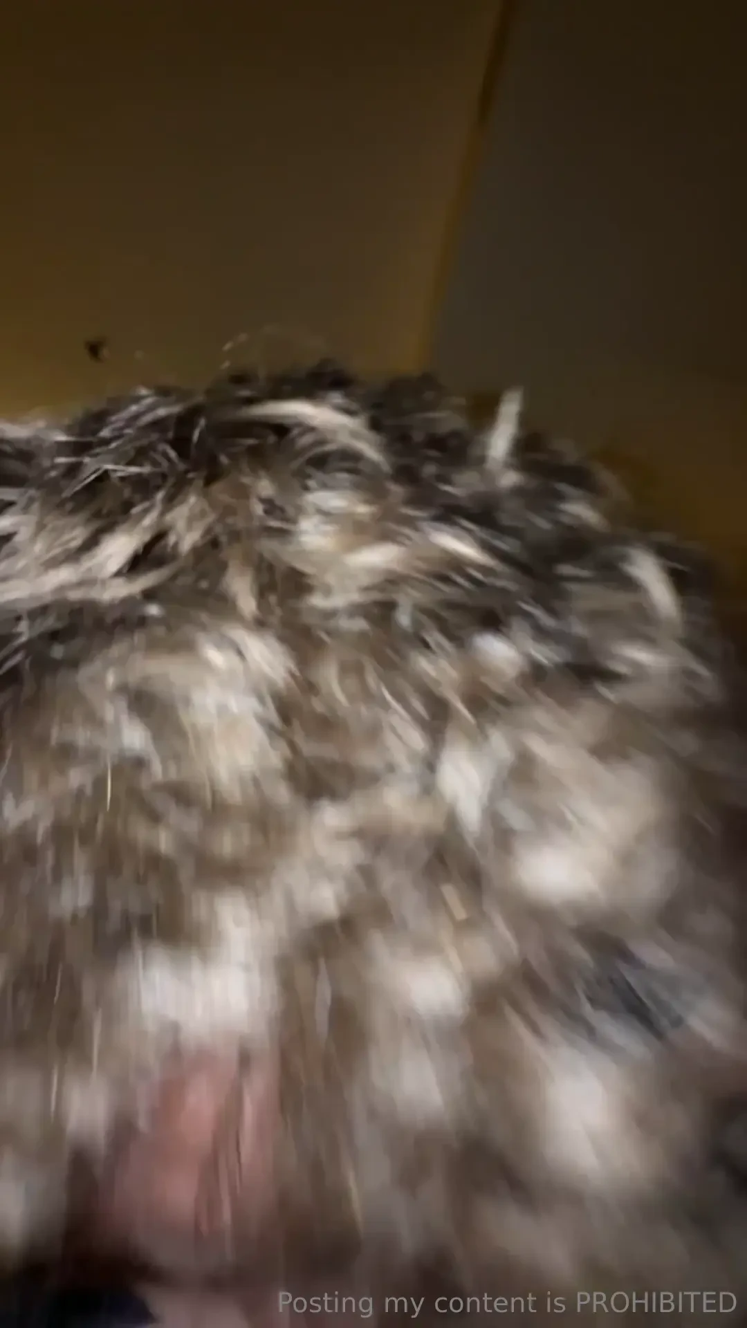 Can you tell he liked my ass and hole a lot he kept wanting to eat it 