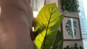 Felt like being a caveman and wearing a leaf for clothing