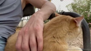 Omg lol i forgot about this video it s sfw but it had me laughing a