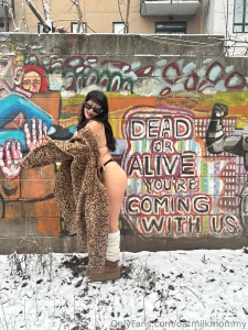 Snowing in brooklyn part 15