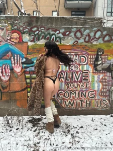 Snowing in brooklyn part 25