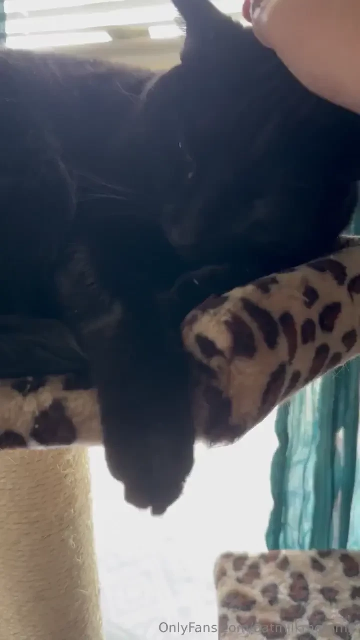 Long live prince gooberton iii 