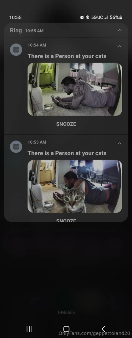 Happy thanksgiving part 34 