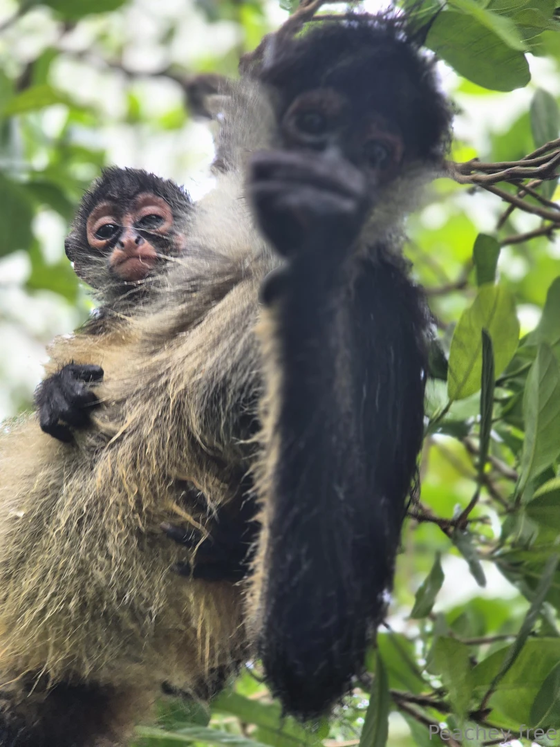 A little something different today while on vacation part 4 