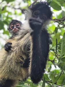 A little something different today while on vacation part 4