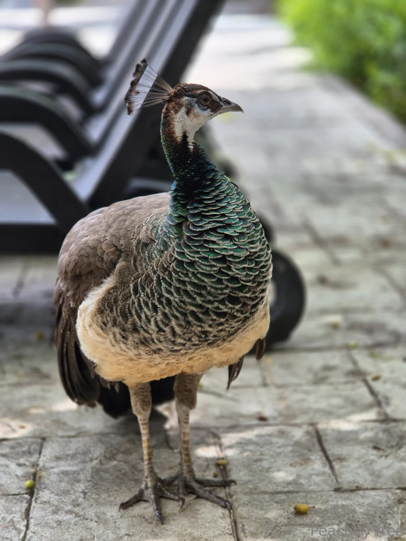 A little something different today while on vacation part 3 