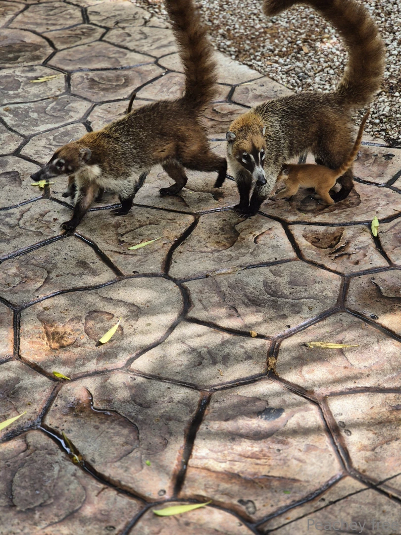 A little something different today while on vacation part 2 