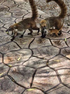 A little something different today while on vacation part 2