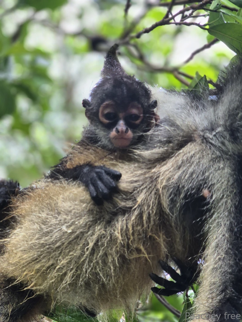 A little something different today while on vacation 