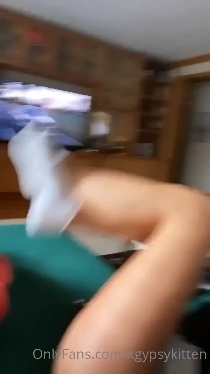 Happy friday from your two favorite california kittens getting cozy on 