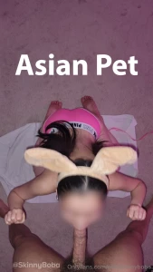 Asian pets never get a break master