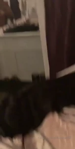 Final part 22