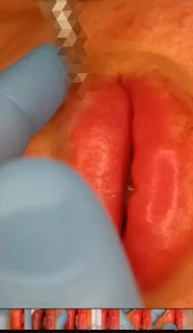 New fill up video are available if you are interested send me a