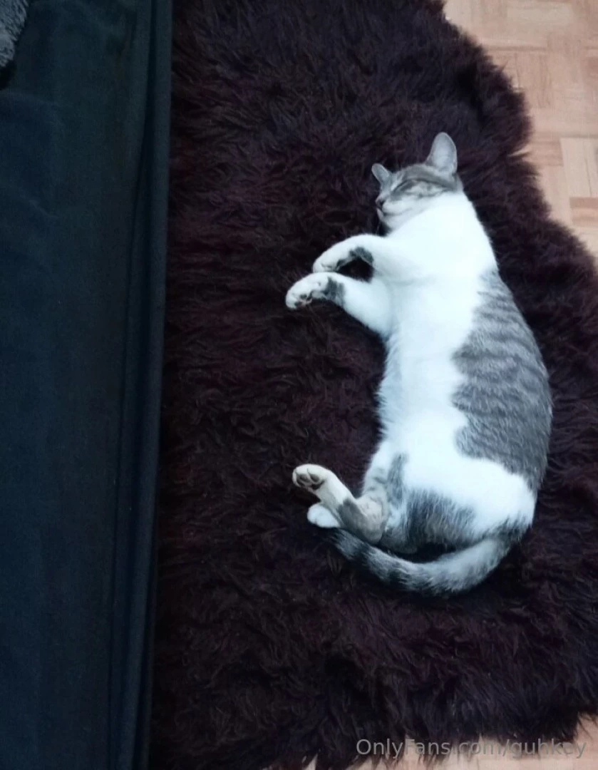 Gracias por estar suscrito lo aprecio mucho mucho part 1 