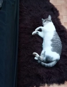 Gracias por estar suscrito lo aprecio mucho mucho part 1