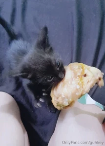 Gracias por estar suscrito lo aprecio mucho mucho