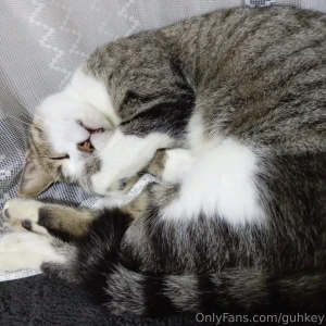 Freya y la gata de los vecinos part 1