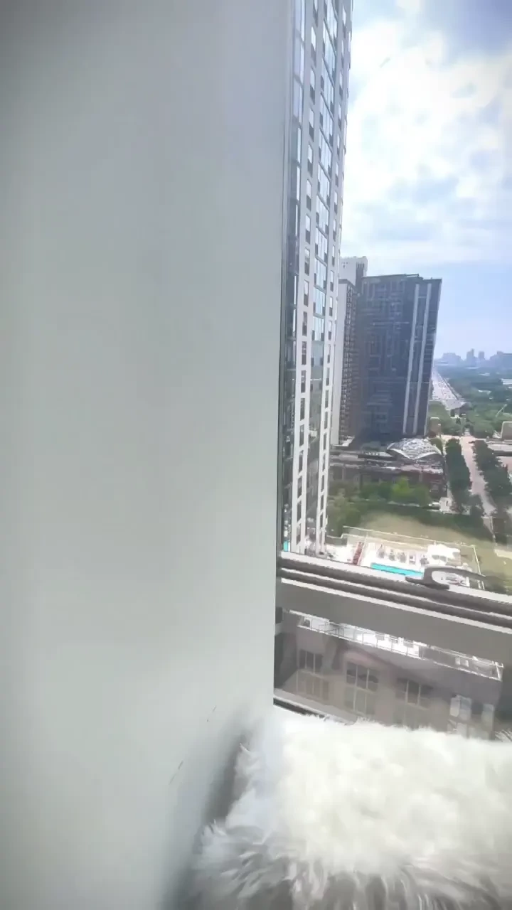 Which of these 3 views is the best 